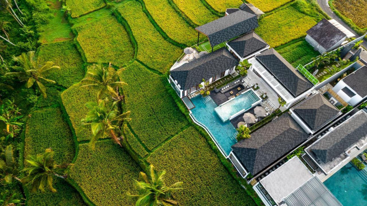 Villa Mia By Balisuperhost อูบุด ภายนอก รูปภาพ